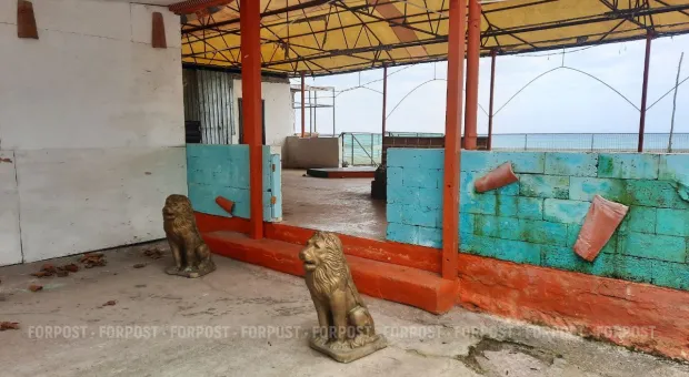 Новости Севастополя - Женщина с подозрением на коронавирус сбежала из больницы в Севастополе