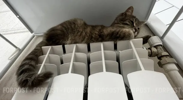 Новости России - Дорогой туристический маршрут по южному Крыму снова заработал