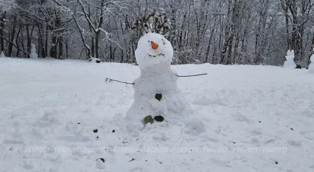 Новости Севастополя - #КудаПодаться в Севастополе. Семейное чтиво, музыкальные Консервы и красота даром 