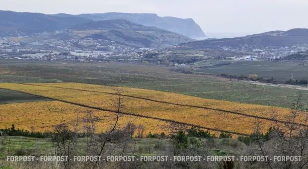 Новости Севастополя - Крупный пожар случился в российском порту после ночной атаки ВСУ