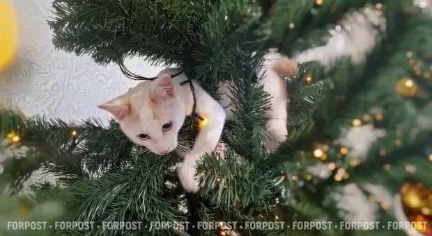 Новости России - Беспилотник атаковал инфраструктурный объект в Крыму