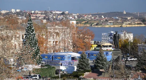 Новости Севастополя - Богатые тоже плачут: мошенники вновь сменили тактику