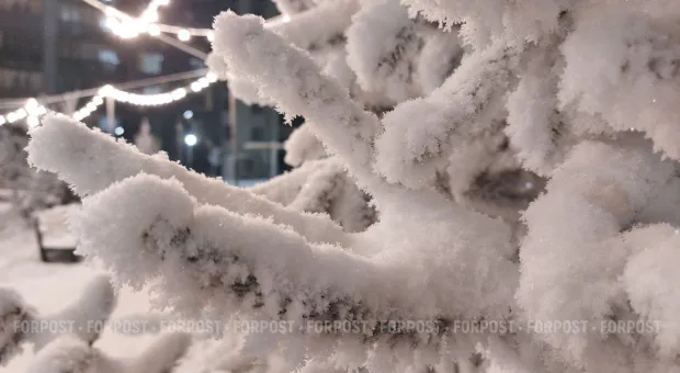 Новости России - 