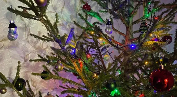 Новости России - 