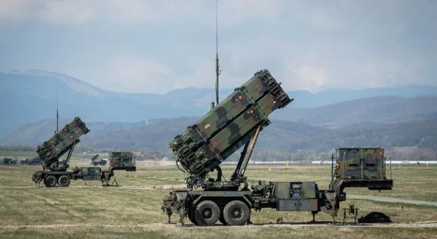 Мировые новости - Ёлка на свалке: какой финал новогодней сказки выбрать