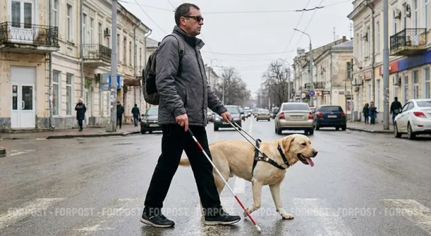 Новости Крыма - Помощники слепых: как в Крыму завести собаку-поводыря, и почему их стало меньше 