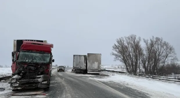 Новости России - Что съесть, чтобы восстановиться после новогодний застолий