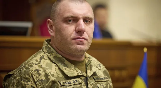 Мировые новости - Неизвестные грубо покромсали сосны у проспекта Генерала Острякова