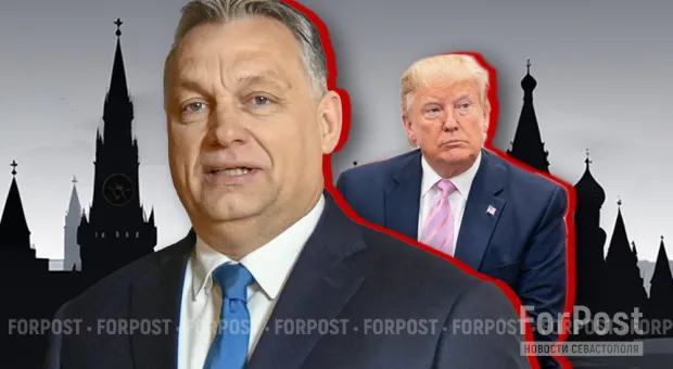 Мировые новости - «Адам, где ты?» Рождество как вопрос к XXI веку