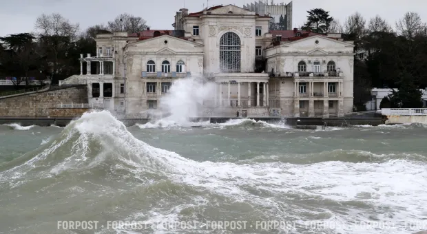 Новости Севастополя - Новогодняя провинция дала блестящий бой Москве и Петербургу