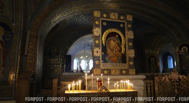 Новости Севастополя - Охотник принял автомобиль за лося и открыл огонь