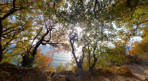 Новости Севастополя - Хроника Русской весны в Севастополе. 7 марта 2014 года