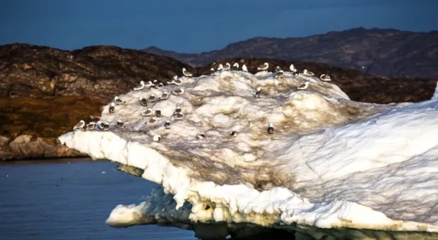 Мировые новости - Такого снегопада давно не помнят здешние места