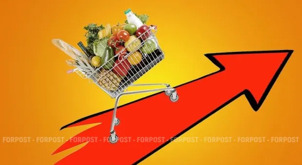 Новости Крыма - В Севастополе хотят разместить небольшой бетонный завод на территории древнего поселения