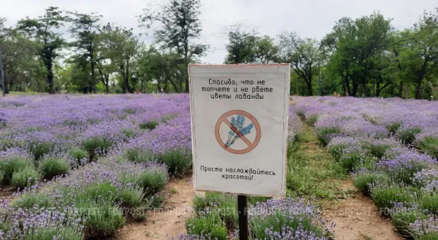 Новости Севастополя - Севастопольская фирма за 200 миллионов прибавит «квадратов» крымскому онкодиспансеру