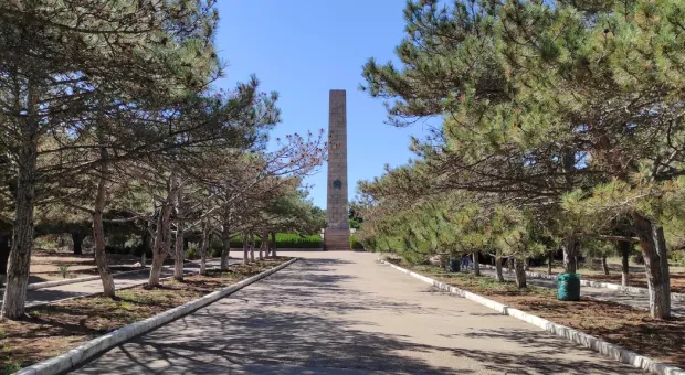 Новости Севастополя - В Севастополе благоустроят сосновый парк на «Автобате» 