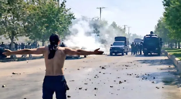 Мировые новости - Лисица проверила наличие бензина на заправке Севастополя