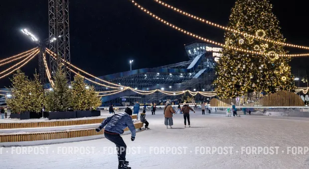 Новости России - На что «Артеку» выделили больше 70 миллиардов рублей