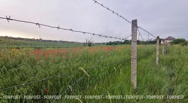 Новости Севастополя - Кто неплохо заработал на отключениях мобильного интернета в России