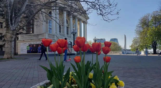 Новости Севастополя - Крымский военно-исторический фестиваль, где сходятся эпохи