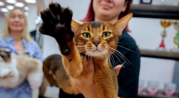 Новости России - В Севастополе назначен новый глава департамента экономического развития 