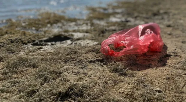 Новости Севастополя - Жители Севастополя просят вернуть клумбу на площадь Ушакова