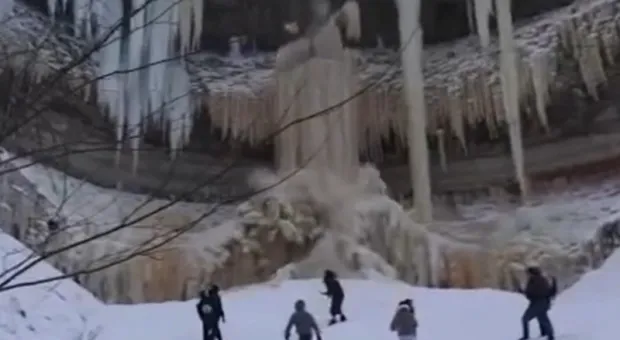 Мировые новости - Внеплановые тропинки у Античного проспекта аннексируют автовладельцы 