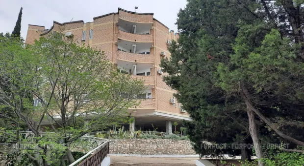 Новости Севастополя - Вандалы в Севастополе уничтожили молодые деревья на Сапун-горе