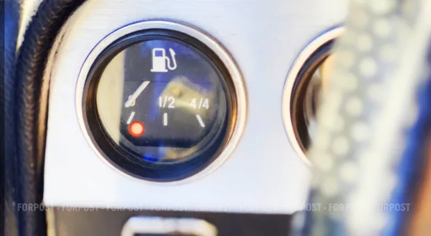 Новости Севастополя - СевСети#940. Парад шляпок, половник дегтя и перелетная игуана