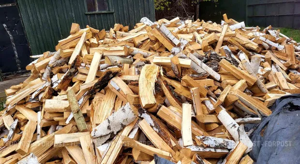 Новости Севастополя - Севсети#802: Спящий водитель, мёртвый дельфин и предчувствие перелома 