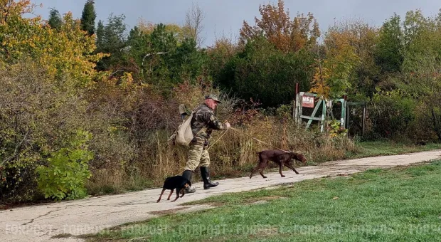 Новости Севастополя - В ДТП под Севастополем пострадали женщина с ребенком