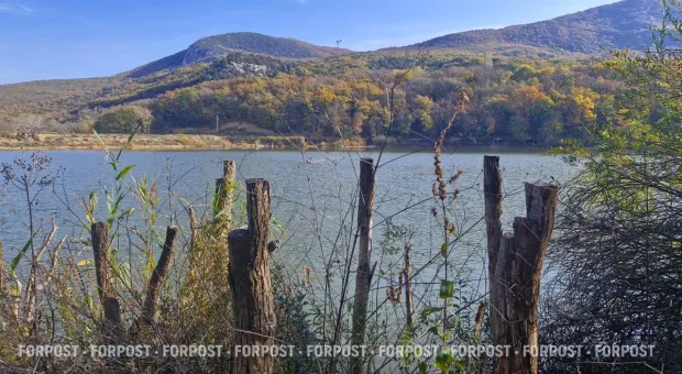 Новости Севастополя - Сервисам запретят автоматически списывать деньги за онлайн-подписки
