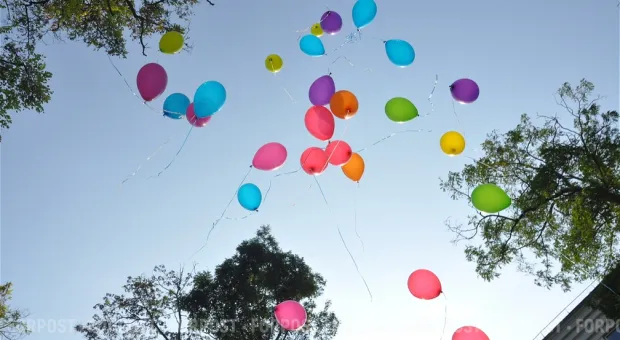 Новости Севастополя - Состояние медицины в Севастополе доводит людей до пикетов