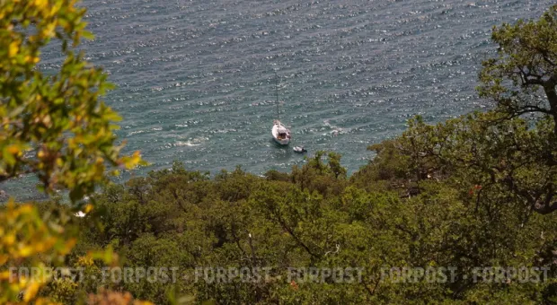 Новости Севастополя - В июне в Севастополе планируется проведение парусной регаты «Кубок Крыма-2008»