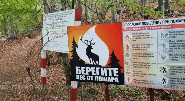 Новости Севастополя - В Севастополе назревает очередной торговый бунт 