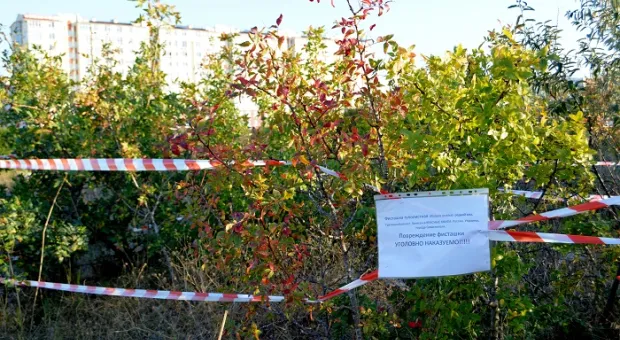 Новости Севастополя - Сколько самостроев снесут в Севастополе 