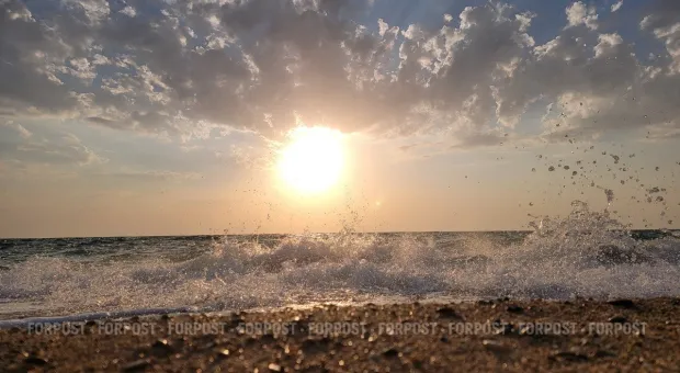 Новости Севастополя - Школа и мы: кто что должен? ОПРОС к 1 сентября 