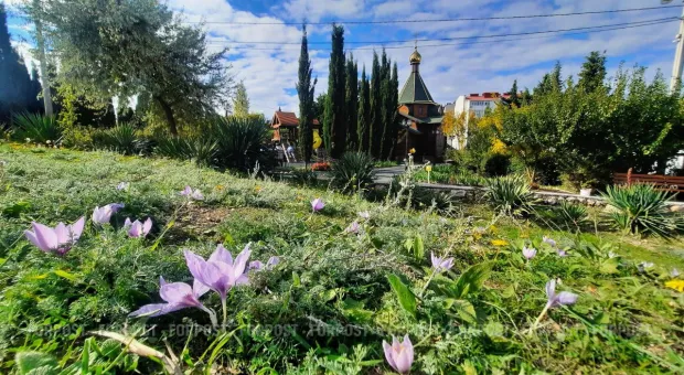 Новости Севастополя - Наследие Севастополя и новая архитектура — что важнее? ОПРОС ForPost