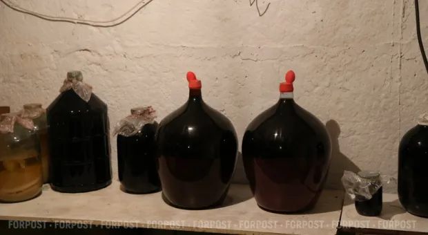 Новости Севастополя - В Севастополе началась уборка винограда