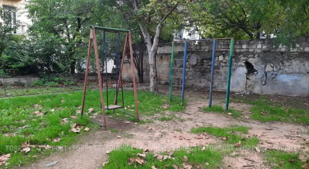 Новости Севастополя - В Севастополе запрещены конные прогулки без согласия с госадминистрацией