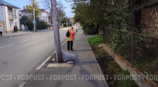 Новости Севастополя - Севастопольцы вышли на уборку Солдатского пляжа
