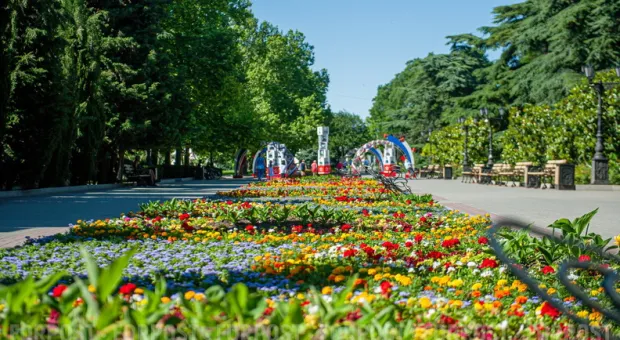 Новости Севастополя - В Севастополе стартует бессрочная акция по благоустройству детских площадок