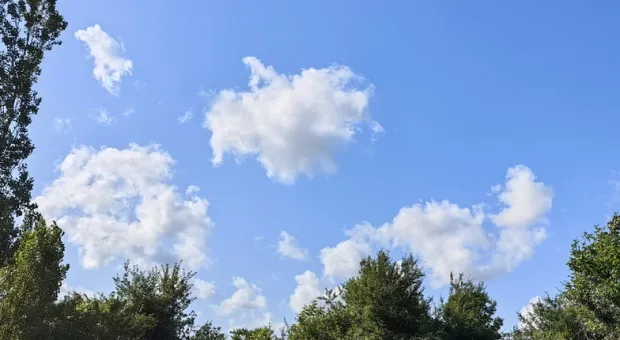 Новости Севастополя - В Севастополе состоялась встреча крымских литераторов