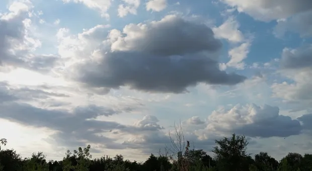 Новости Севастополя - Как будут работать избирательные участки в Севастополе 8 сентября