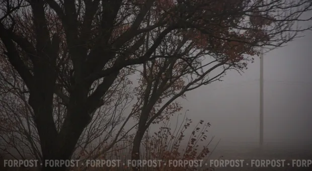 Новости Севастополя - Севастопольцам предложили сменить фамилию ради годового запаса пива