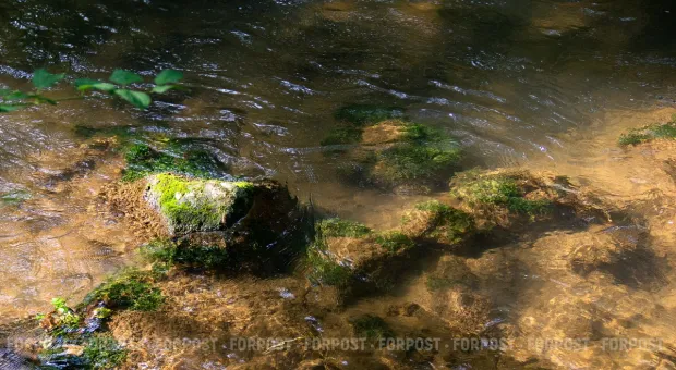 Новости Севастополя - Ушёл из жизни участник обороны Севастополя Владимир Болгари 