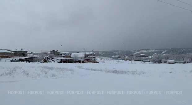 Новости Севастополя - Хроника Русской весны: 16 марта 2014