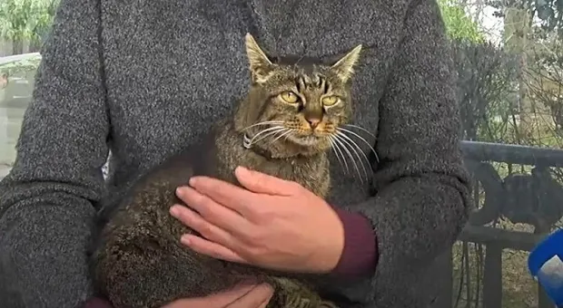 Новости Севастополя - Медицина сделала важный шаг в сторону долголетия