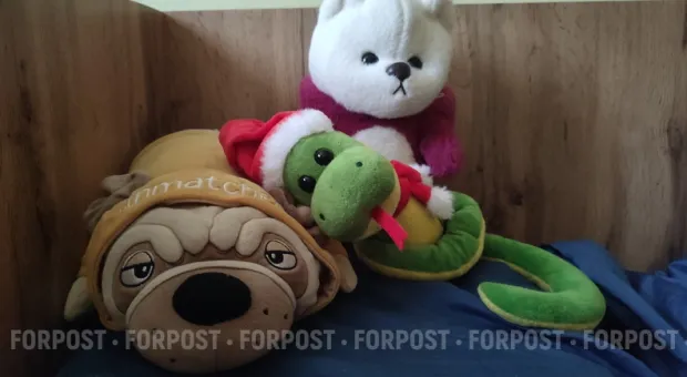 Новости Севастополя - Поправки к шести соткам: что государство планирует поменять в жизни дачников