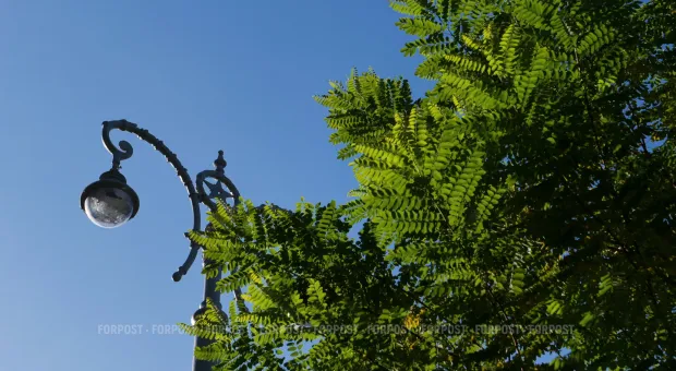 Новости Севастополя - В Севастополе в ответ на пощёчину мужчина вырубил обидчика кружкой пива 